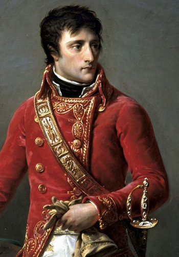 a portrait of Napoleon